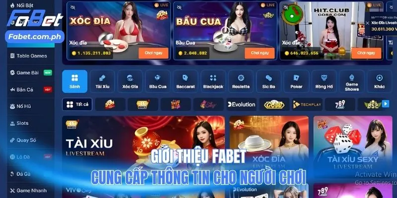 Giới thiệu FABET cung cấp thông tin cho người chơi